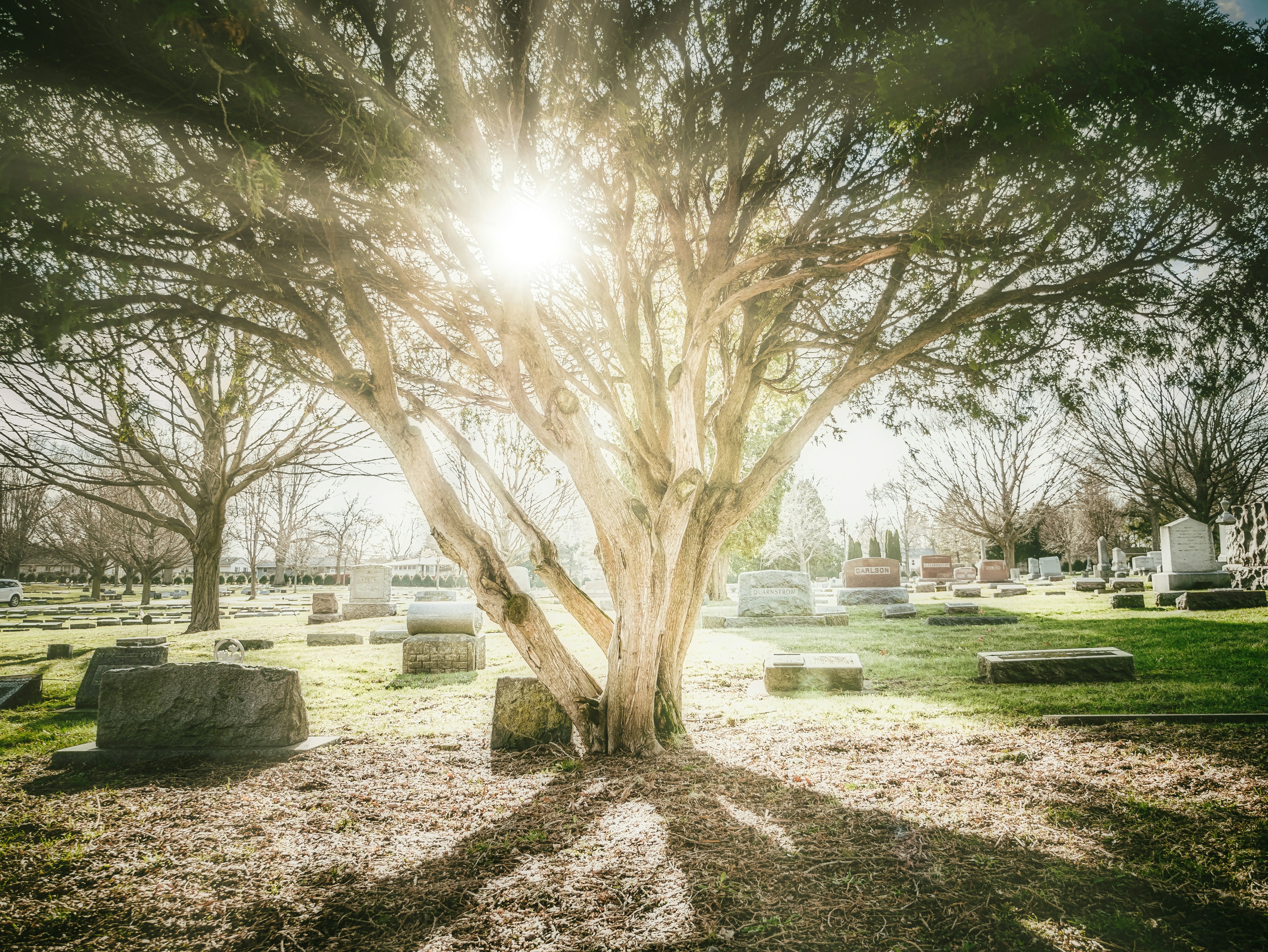 Grabsuche in Deutschland: So finden Sie Friedhof, Grabnummer und Lage